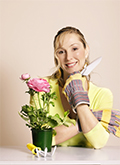 Vegetable Gardening